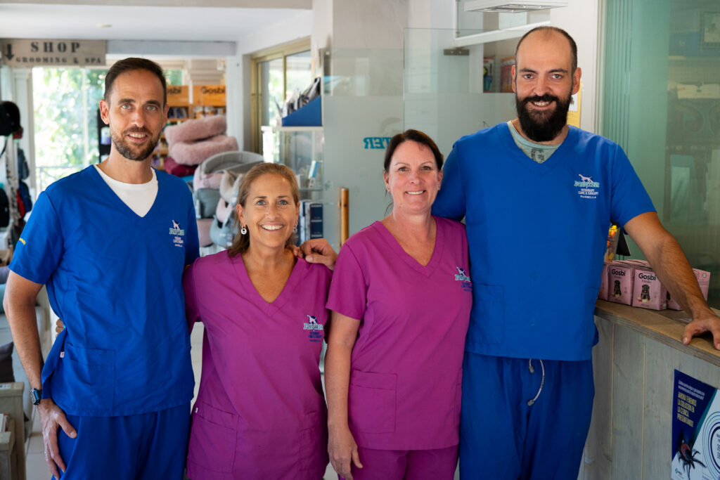 Pointer Veterinary Marbella