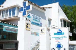 Veterinary Clinic Marbella