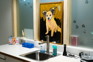 Veterinary Clinic Marbella