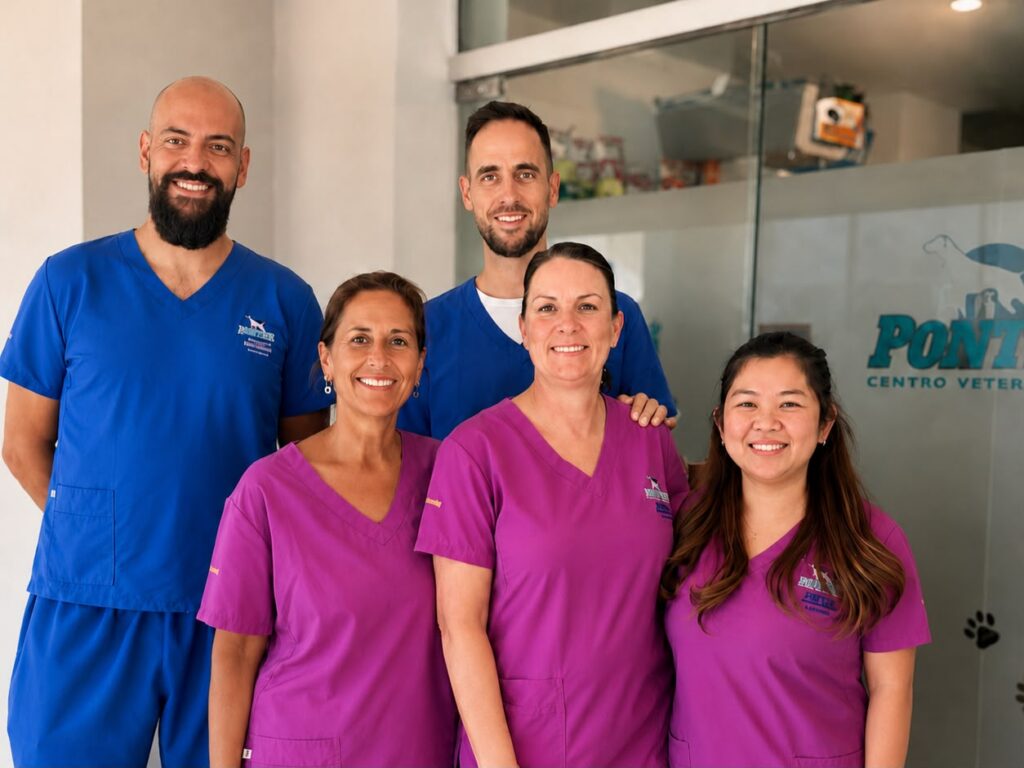 Veterinary Team Pointer Marbella